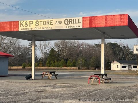 Tiny photo for 13129 NC Highway 242, Elizabethtown, NC 28337 (MLS # 740533)