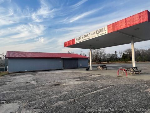 Tiny photo for 13129 NC Highway 242, Elizabethtown, NC 28337 (MLS # 740533)