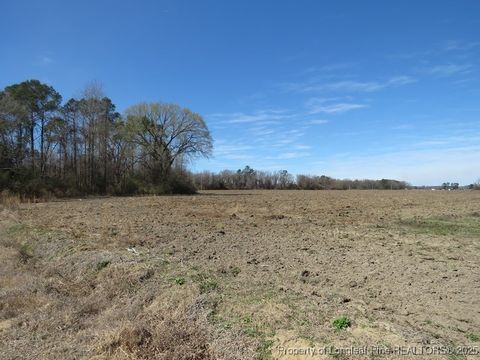 Tiny photo for TBD Kehukee Drive, Parkton, NC 28371 (MLS # 753979)