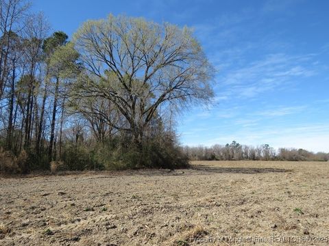 Tiny photo for TBD Kehukee Drive, Parkton, NC 28371 (MLS # 753979)