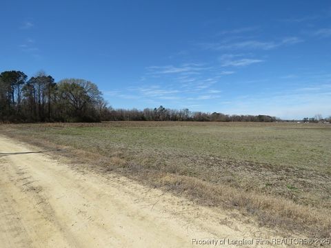 Tiny photo for TBD Kehukee Drive, Parkton, NC 28371 (MLS # 753979)