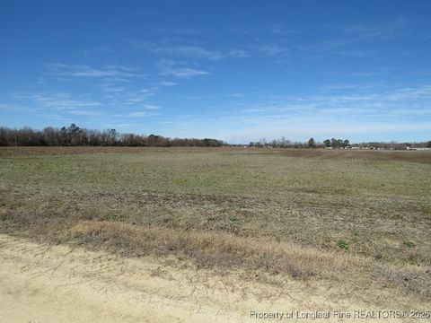 Tiny photo for TBD Kehukee Drive, Parkton, NC 28371 (MLS # 753979)