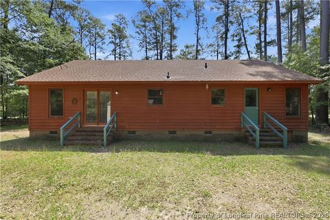Tiny photo for 573 Ellis Road, Lumber Bridge, NC 28357 (MLS # 763009)