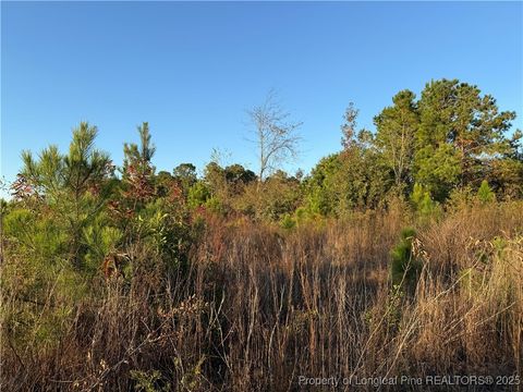 Tiny photo for 4083 Collier Road, Wade, NC 28395 (MLS # 752829)