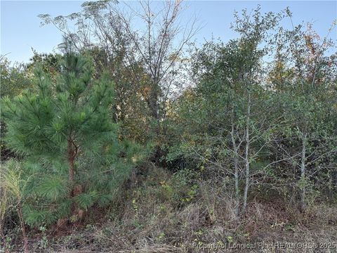 Tiny photo for 4083 Collier Road, Wade, NC 28395 (MLS # 752829)