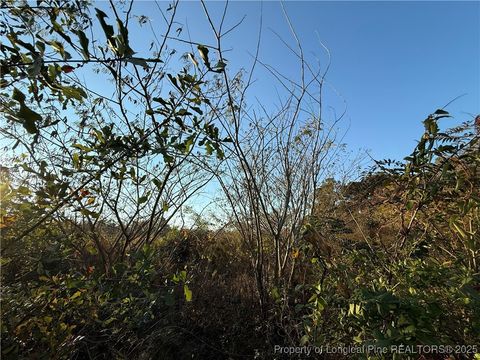 Tiny photo for 4083 Collier Road, Wade, NC 28395 (MLS # 752829)