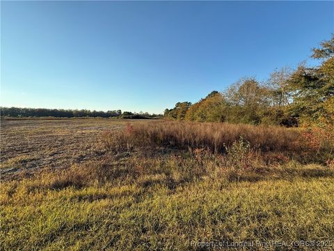 Tiny photo for 4083 Collier Road, Wade, NC 28395 (MLS # 752829)