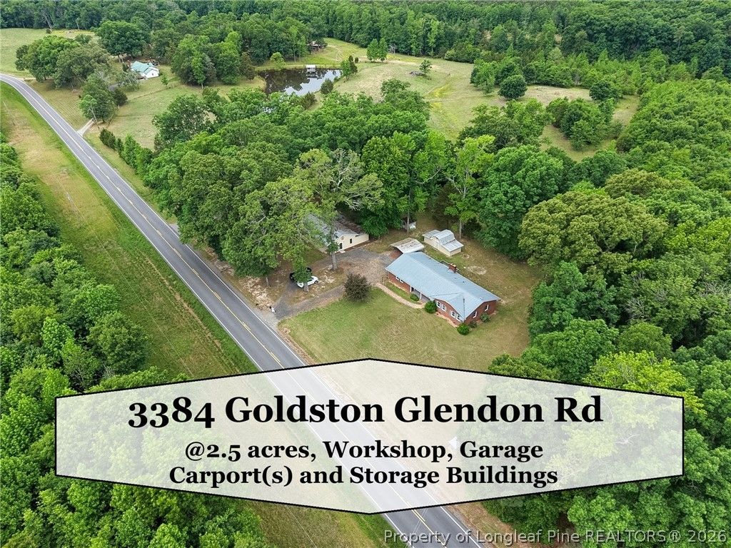 Photo of 3384 Goldston Glendon Road, Goldston, NC 27252 (MLS # 762208)
