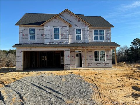 Tiny photo for 315 Crowville Street, Raeford, NC 28376 (MLS # 757034)