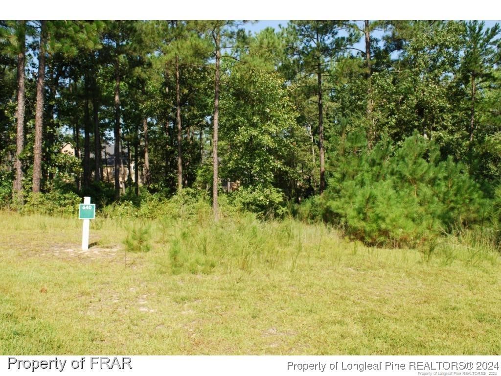 Photo of 232 Broadlake (640) Lane, Spring Lake, NC 28390 (MLS # 734547)