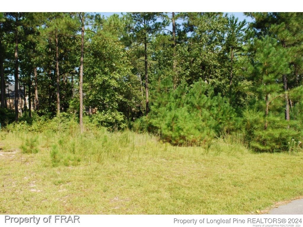 232 Broadlake (640) Lane