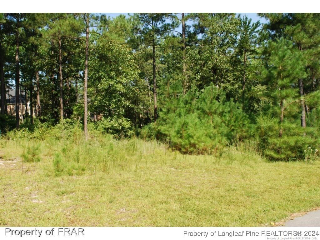 Photo of 232 Broadlake (640) Lane, Spring Lake, NC 28390 (MLS # 734547)