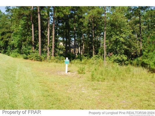 232 BROADLAKE LN, SPRING LAKE, NC 28390 - Image dc31b2637ef36284a8f39ba0b1dc76e2/2932667357