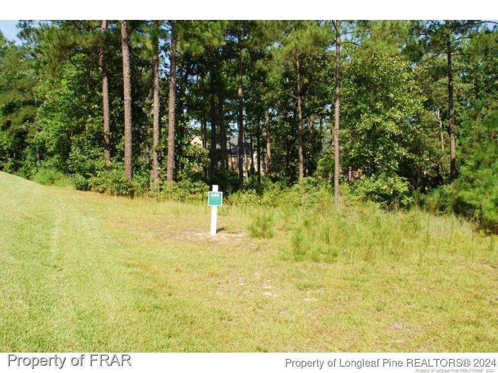 Photo of 232 Broadlake (640) Lane, Spring Lake, NC 28390 (MLS # 734547)