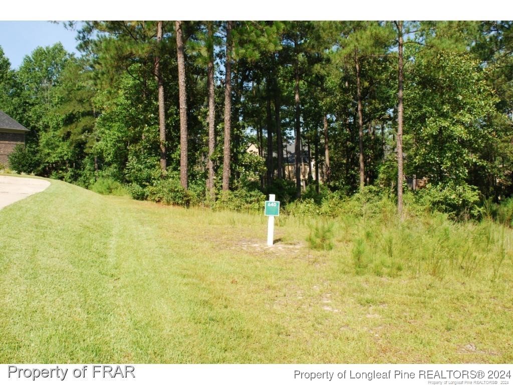 232 Broadlake (640) Lane