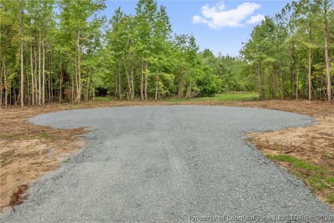 Tiny photo for 00 Riverstead (Lot 1) Road W, Fayetteville, NC 28312 (MLS # 767241)