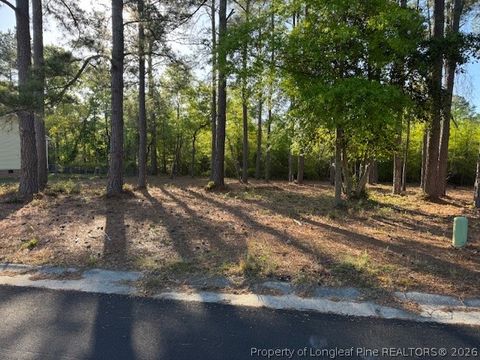 Photo of 213 Waddell Drive, Fayetteville, NC 28301 (MLS # 760616)