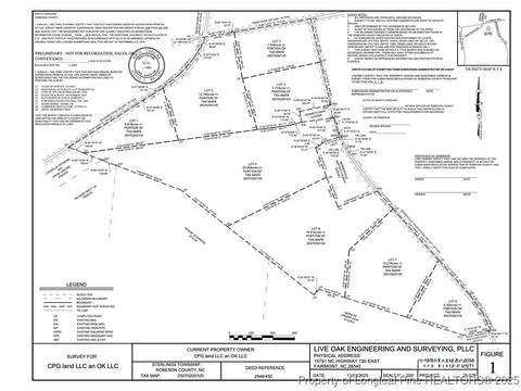Tiny photo for Lot 3 Barnesville Church Road, Orrum, NC 28369 (MLS # 753737)