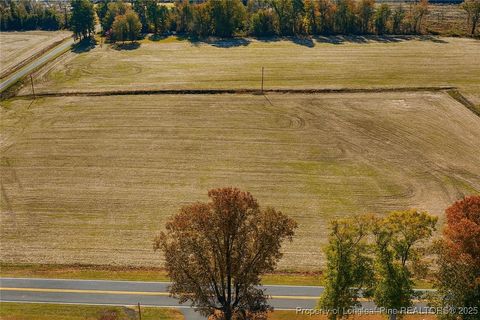 Tiny photo for Lot 3 Barnesville Church Road, Orrum, NC 28369 (MLS # 753737)