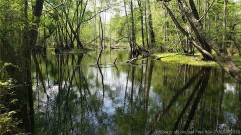 Tiny photo for 52 Acres River Access, Lumberton, NC 28360 (MLS # 762054)