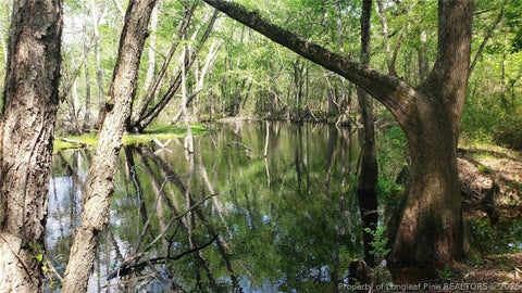 Tiny photo for 52 Acres River Access, Lumberton, NC 28360 (MLS # 762054)