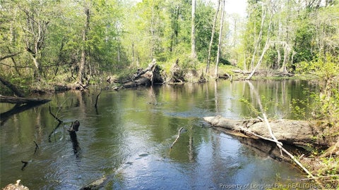 Tiny photo for 52 Acres River Access, Lumberton, NC 28360 (MLS # 762054)