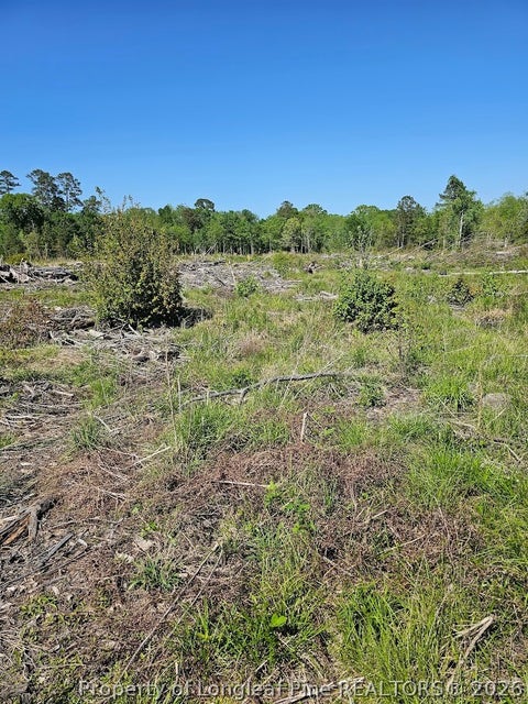 Tiny photo for 52 Acres River Access, Lumberton, NC 28360 (MLS # 762054)