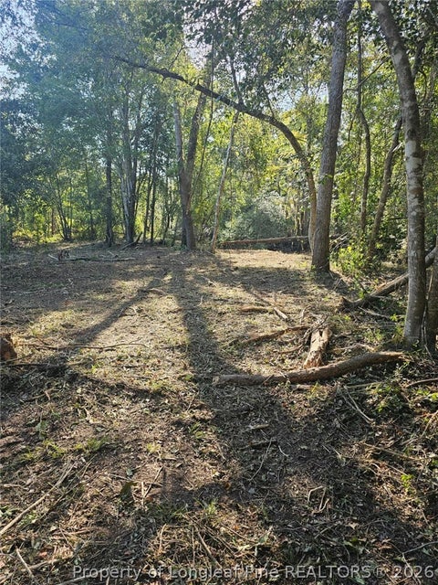 Tiny photo for 52 Acres River Access, Lumberton, NC 28360 (MLS # 762054)
