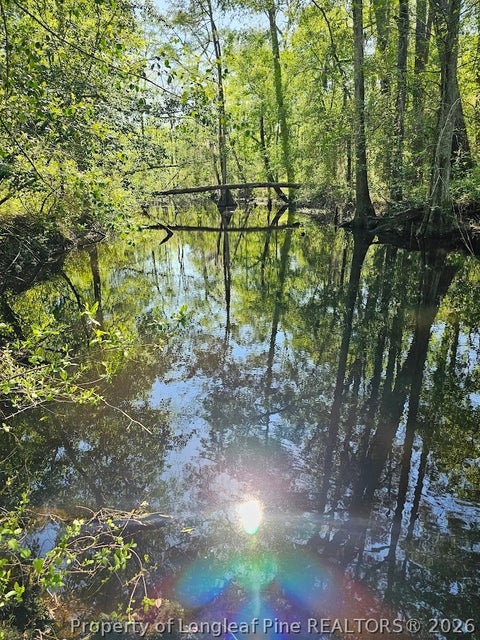 Tiny photo for 52 Acres River Access, Lumberton, NC 28360 (MLS # 762054)