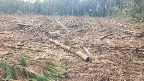 Tiny photo for 52 Acres River Access, Lumberton, NC 28360 (MLS # 762054)