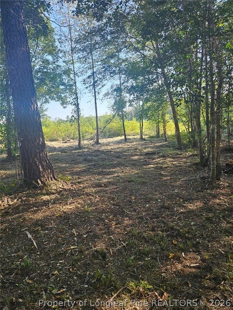 Tiny photo for 52 Acres River Access, Lumberton, NC 28360 (MLS # 762054)