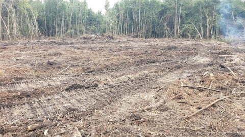 Tiny photo for 52 Acres River Access, Lumberton, NC 28360 (MLS # 762054)