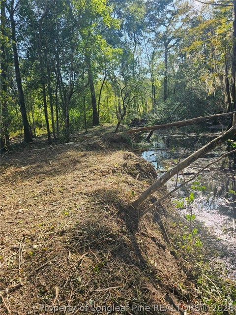 Tiny photo for 52 Acres River Access, Lumberton, NC 28360 (MLS # 762054)