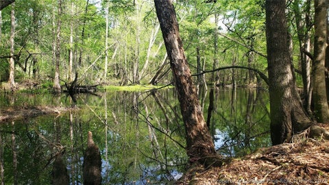 Tiny photo for 52 Acres River Access, Lumberton, NC 28360 (MLS # 762054)
