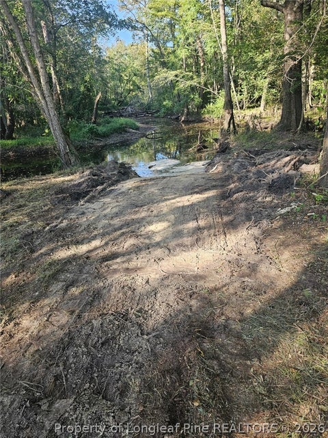 Tiny photo for 52 Acres River Access, Lumberton, NC 28360 (MLS # 762054)