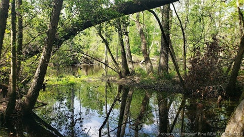 Tiny photo for 52 Acres River Access, Lumberton, NC 28360 (MLS # 762054)