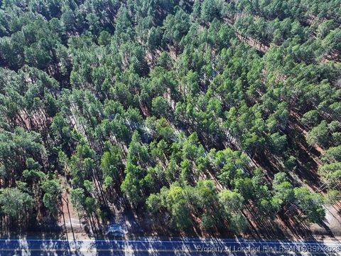 Photo of NC Hwy 130 Highway, Fairmont, NC 28340 (MLS # 756431)