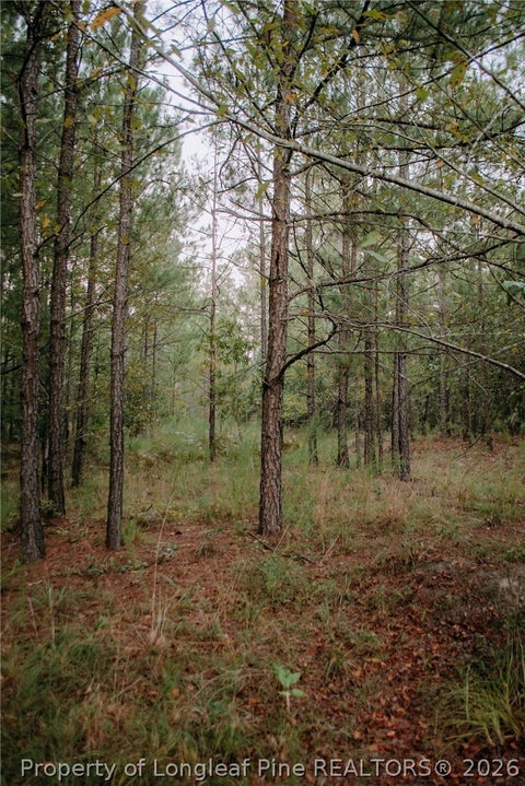 Photo of Lot 1-TBD Nighthawk Loop, Aberdeen, NC 28315 (MLS # 769778)