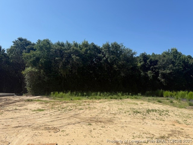 130 Surles Landing Way