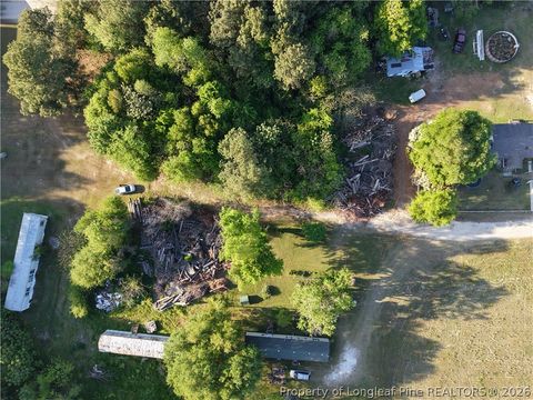 Photo of Amaziahs Farm Road, Maxton, NC 28364 (MLS # 760800)