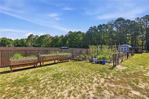 Tiny photo for 1008 Minnie Hall Road, Autryville, NC 28318 (MLS # 768173)