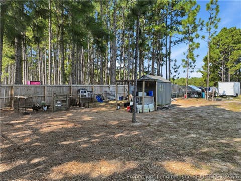 Tiny photo for 1008 Minnie Hall Road, Autryville, NC 28318 (MLS # 768173)