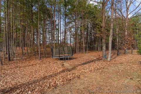 Tiny photo for 109 Tinney Inn Road, Sanford, NC 27332 (MLS # 754234)
