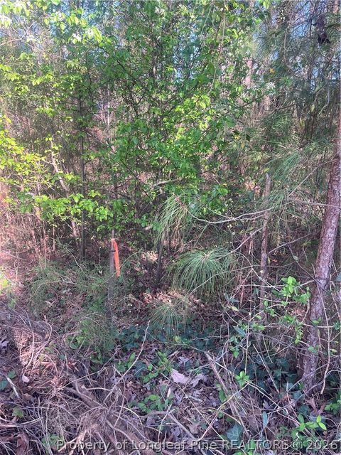 Tiny photo for 4636 Bragg Boulevard, Fayetteville, NC 28303 (MLS # 758993)