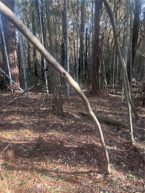 Tiny photo for 4636 Bragg Boulevard, Fayetteville, NC 28303 (MLS # 758993)