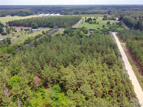 Photo of Gainey Road, Raeford, NC 28376 (MLS # 763837)