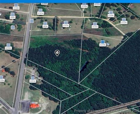 Tiny photo for 4251 Chickenfoot Road, St Pauls, NC 28384 (MLS # 750964)