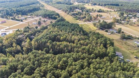 Tiny photo for 4251 Chickenfoot Road, St Pauls, NC 28384 (MLS # 750964)