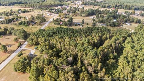 Tiny photo for 4251 Chickenfoot Road, St Pauls, NC 28384 (MLS # 750964)