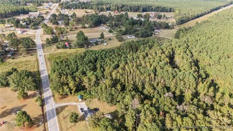 Tiny photo for 4251 Chickenfoot Road, St Pauls, NC 28384 (MLS # 750964)